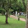 Imagem 296